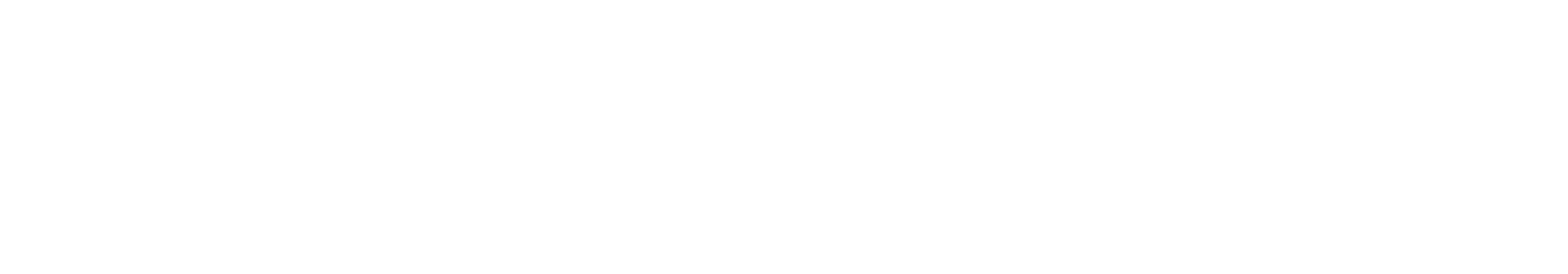 NOA LONE Logo
